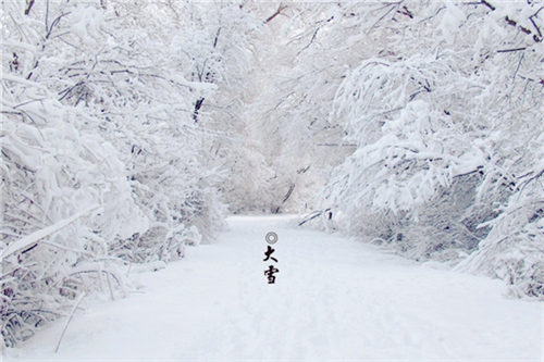 單機(jī)脈沖除塵器